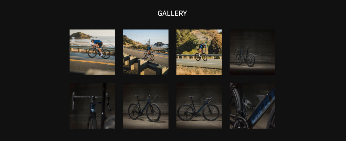 Block: Gallery - Posstack.com Documentation
